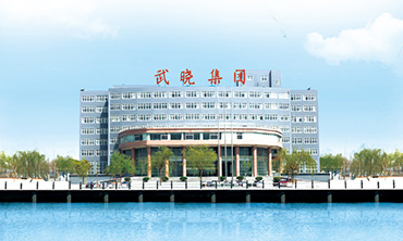 武曉集團黨建專欄二十大勝利召開